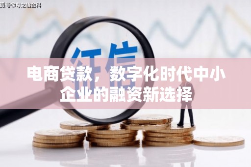 汾西电商贷款，数字化时代中小企业的融资新选择