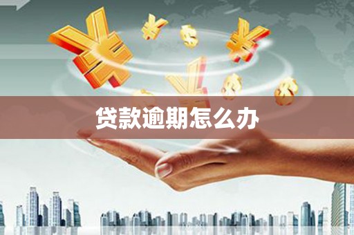 汾西贷款逾期怎么办