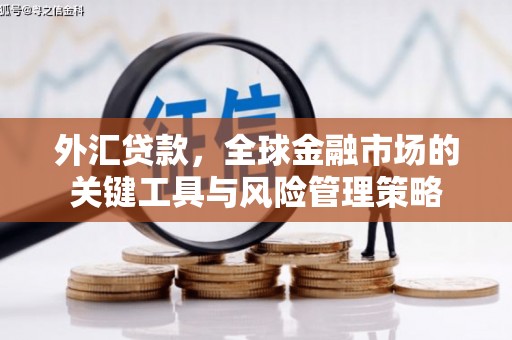 汾西外汇贷款，全球金融市场的关键工具与风险管理策略