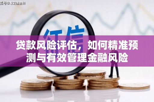 汾西贷款风险评估，如何精准预测与有效管理金融风险