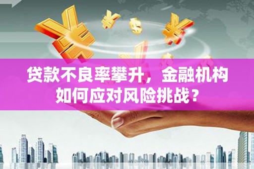 汾西贷款不良率攀升，金融机构如何应对风险挑战？