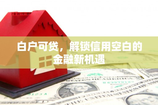 汾西白户可贷，解锁信用空白的金融新机遇