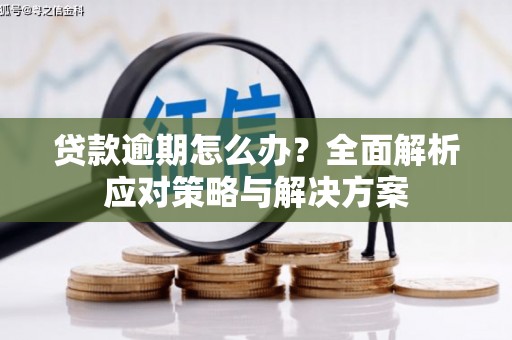 汾西贷款逾期怎么办？全面解析应对策略与解决方案