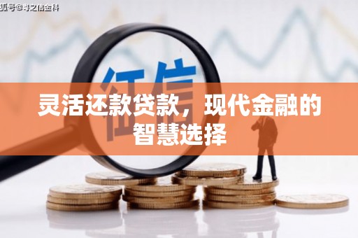 汾西灵活还款贷款，现代金融的智慧选择