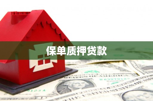 汾西保单质押贷款