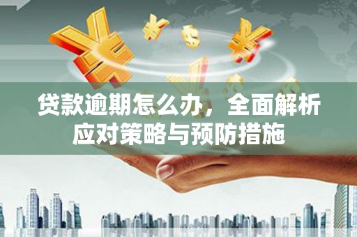 汾西贷款逾期怎么办，全面解析应对策略与预防措施