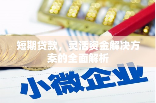 汾西短期贷款，灵活资金解决方案的全面解析