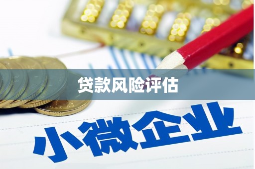 汾西贷款风险评估