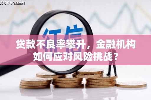 汾西贷款不良率攀升，金融机构如何应对风险挑战？
