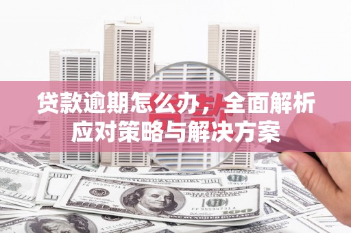 汾西贷款逾期怎么办，全面解析应对策略与解决方案