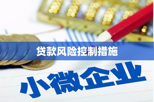 汾西贷款风险控制措施