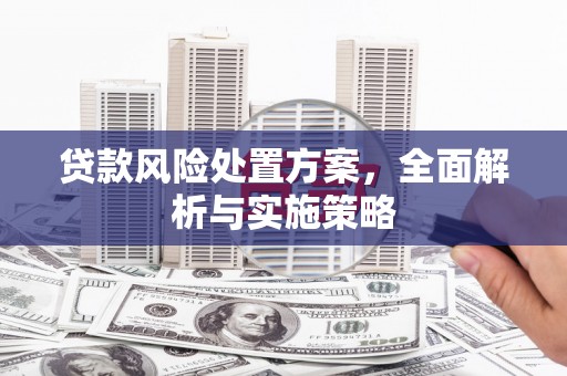 汾西贷款风险处置方案，全面解析与实施策略